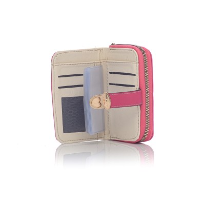 David Polo Γυναικείο Πορτοφόλι με χρυσά αξεσουάρ Ροζ David Polo Γυναικείο Πορτοφόλι με χρυσά αξεσουάρ Ροζ